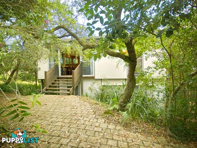 139 Lorikeet Drive PEREGIAN BEACH QLD 4573