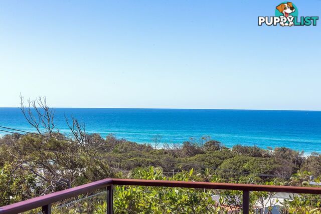 7 Egret Street PEREGIAN BEACH QLD 4573