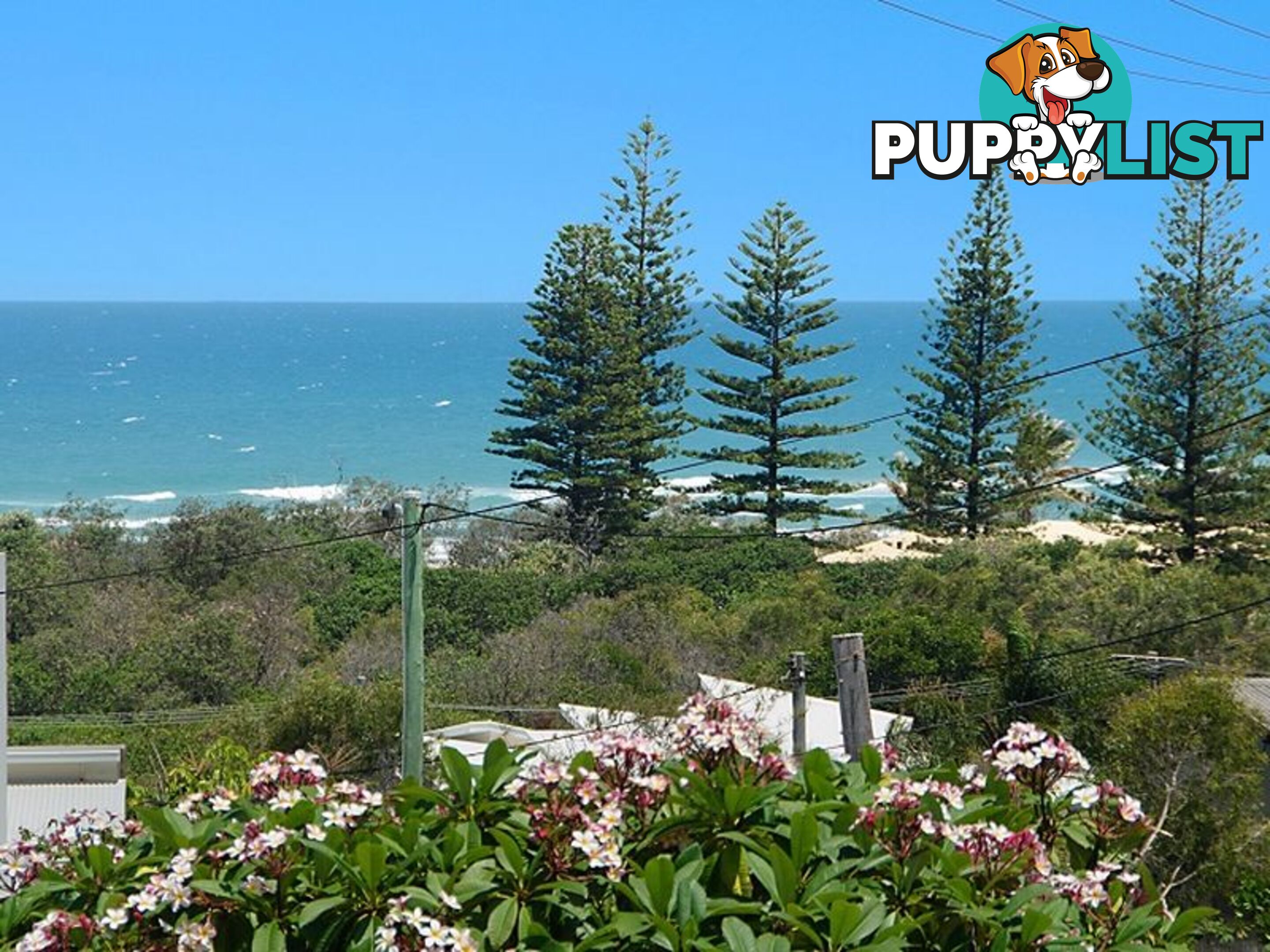 18 Pelican Street PEREGIAN BEACH QLD 4573