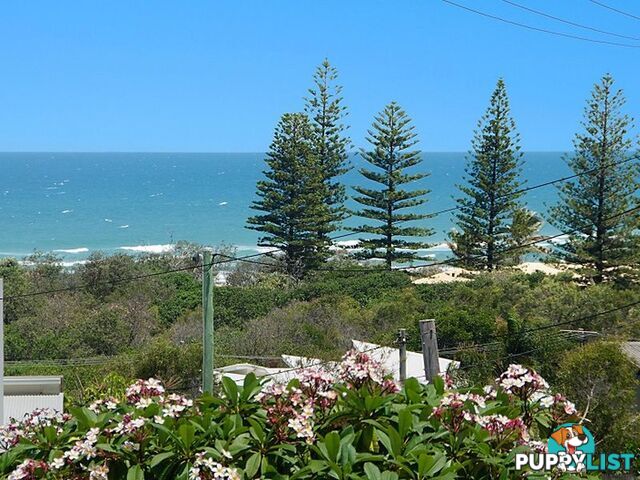 18 Pelican Street PEREGIAN BEACH QLD 4573