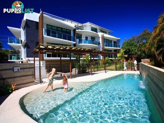 7/31-33 Lorikeet Drive PEREGIAN BEACH QLD 4573