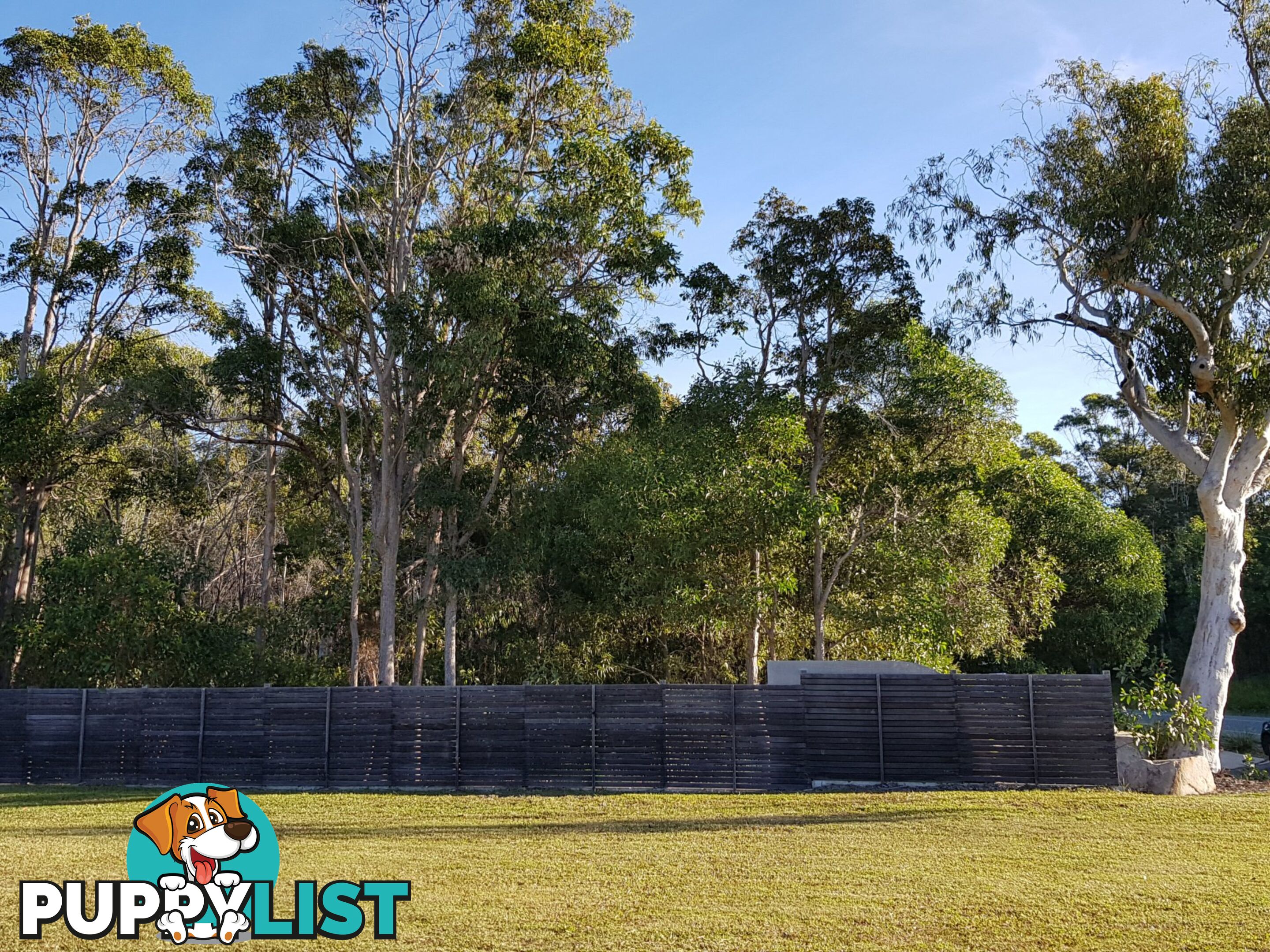 201 Old Emu Mountain Rd PEREGIAN BEACH QLD 4573