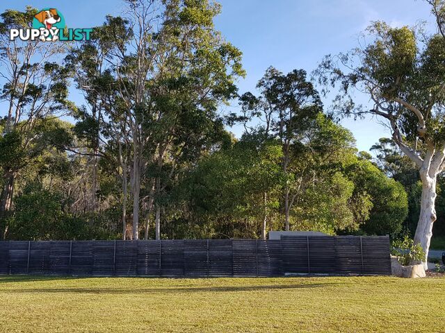 201 Old Emu Mountain Rd PEREGIAN BEACH QLD 4573
