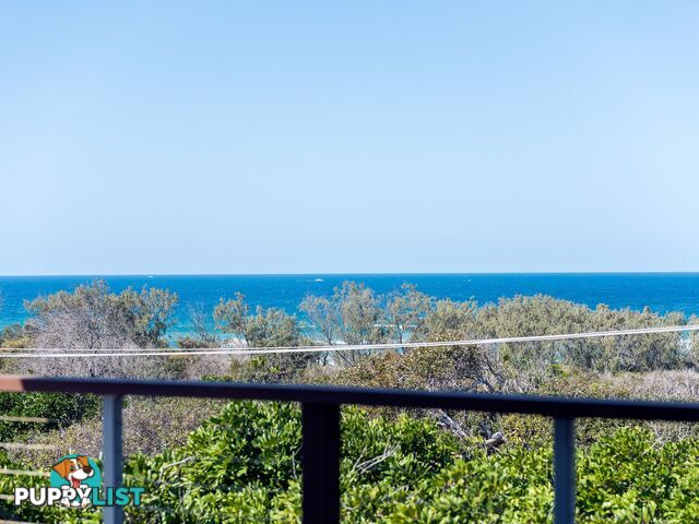 10 Tristania Drive MARCUS BEACH QLD 4573