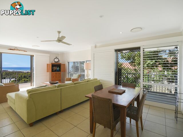 3/7 Peregian Esplanade PEREGIAN BEACH QLD 4573
