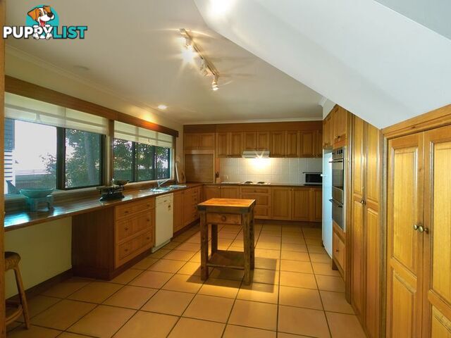 38 Peregian Esplanade PEREGIAN BEACH QLD 4573