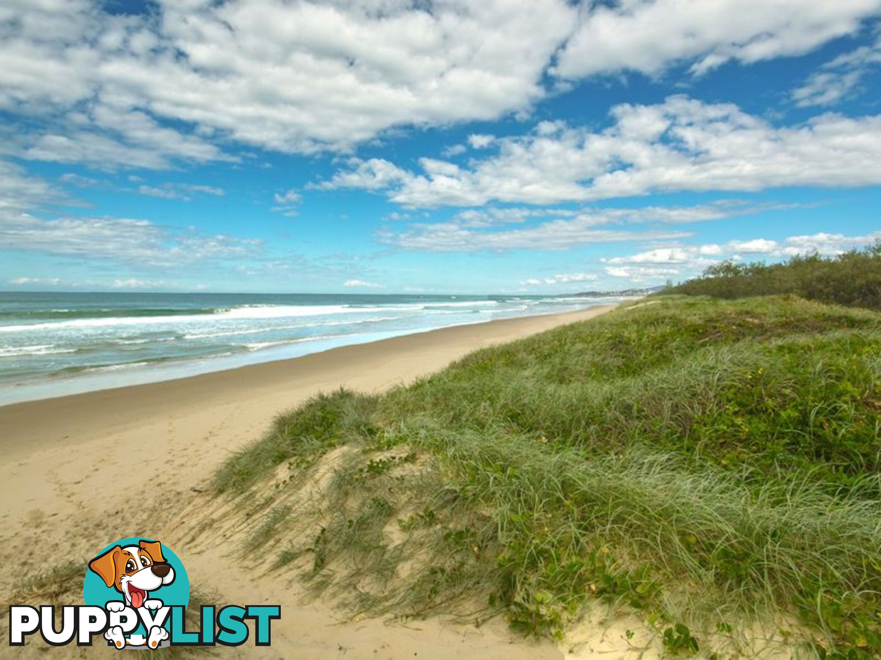 38 Peregian Esplanade PEREGIAN BEACH QLD 4573