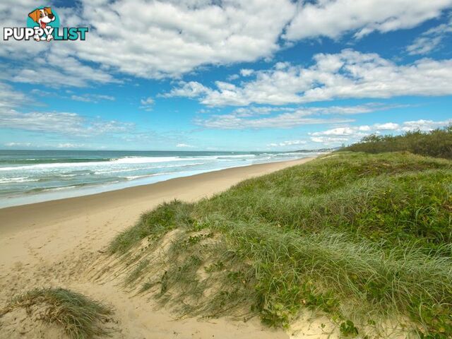38 Peregian Esplanade PEREGIAN BEACH QLD 4573