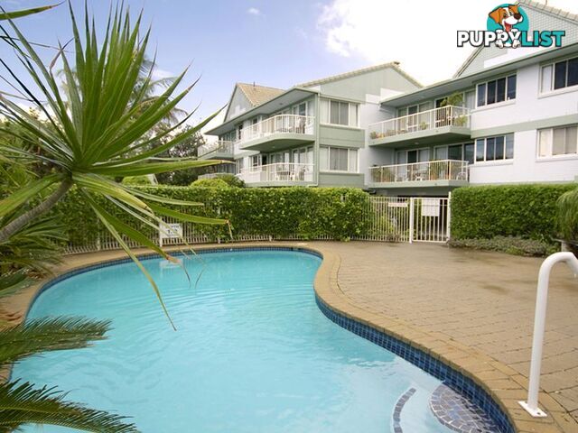 2/60 Peregian Esplanade PEREGIAN BEACH QLD 4573