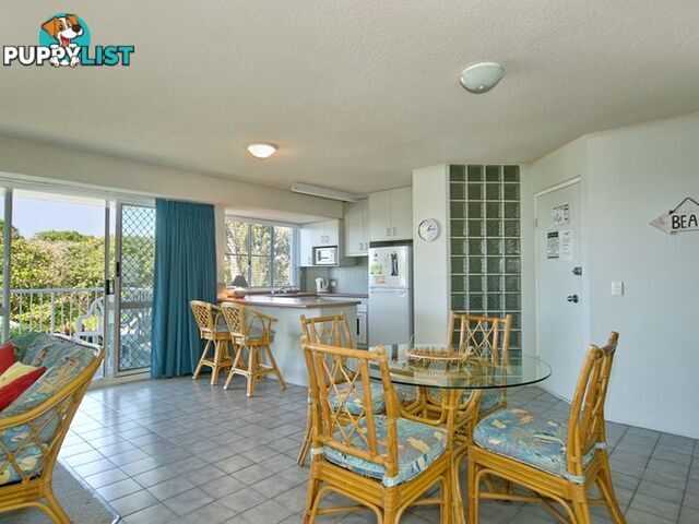 2/60 Peregian Esplanade PEREGIAN BEACH QLD 4573