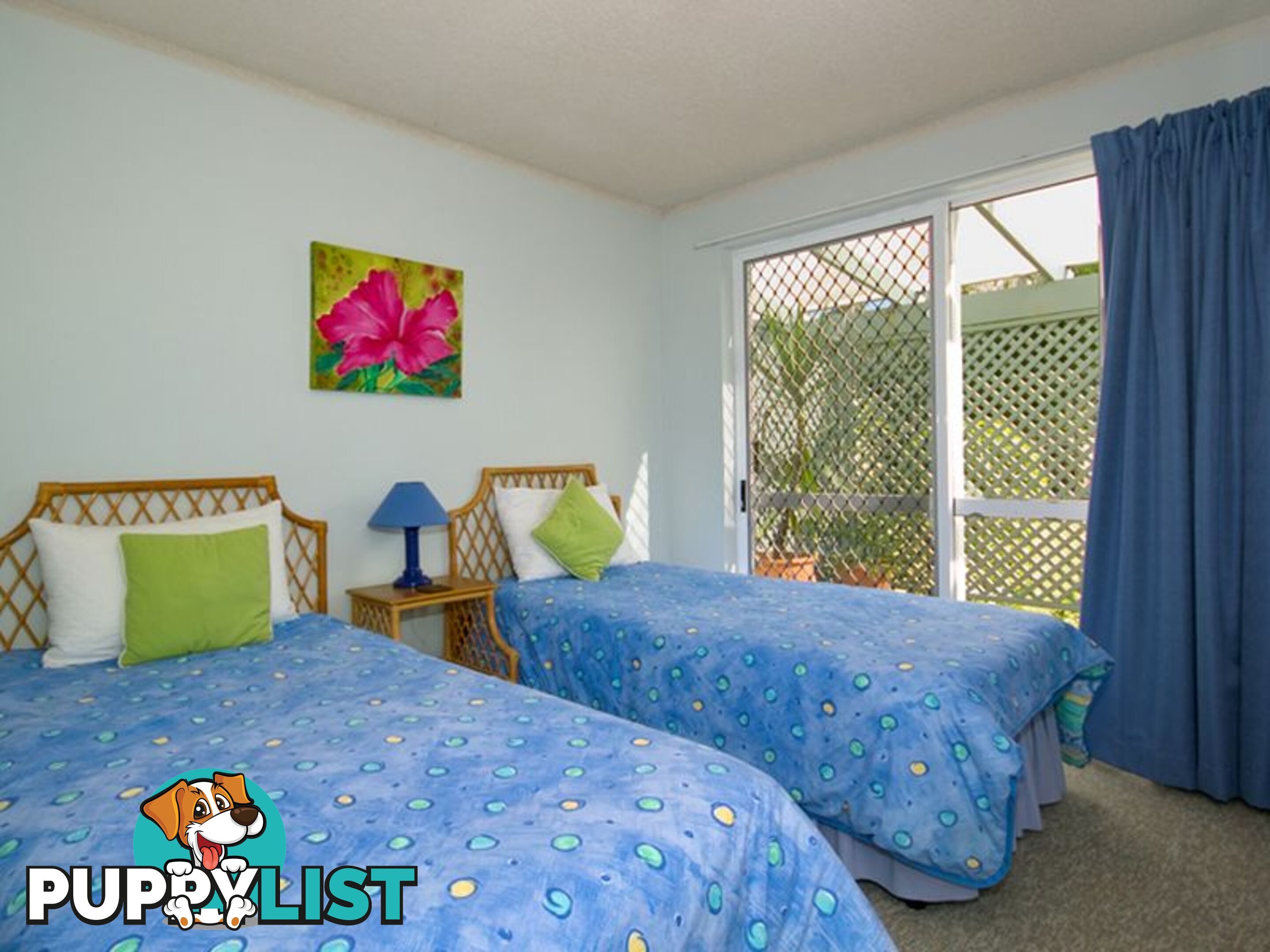 2/60 Peregian Esplanade PEREGIAN BEACH QLD 4573