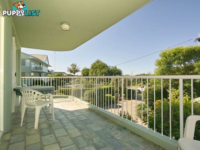 2/60 Peregian Esplanade PEREGIAN BEACH QLD 4573
