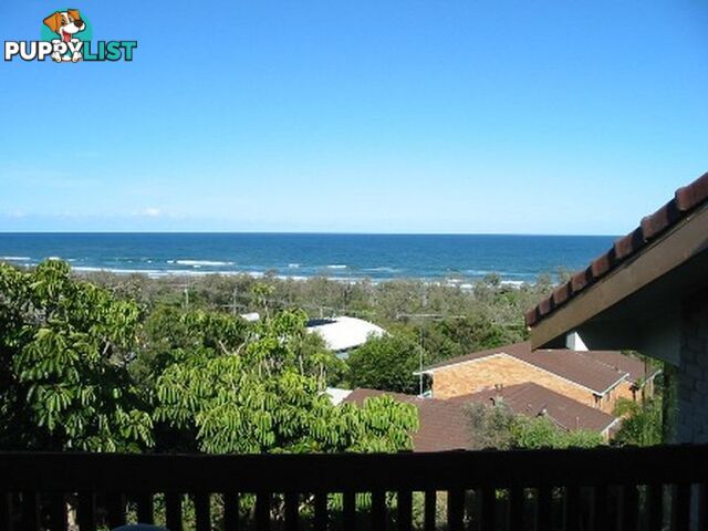 7/28 Peregian Esplanade PEREGIAN BEACH QLD 4573