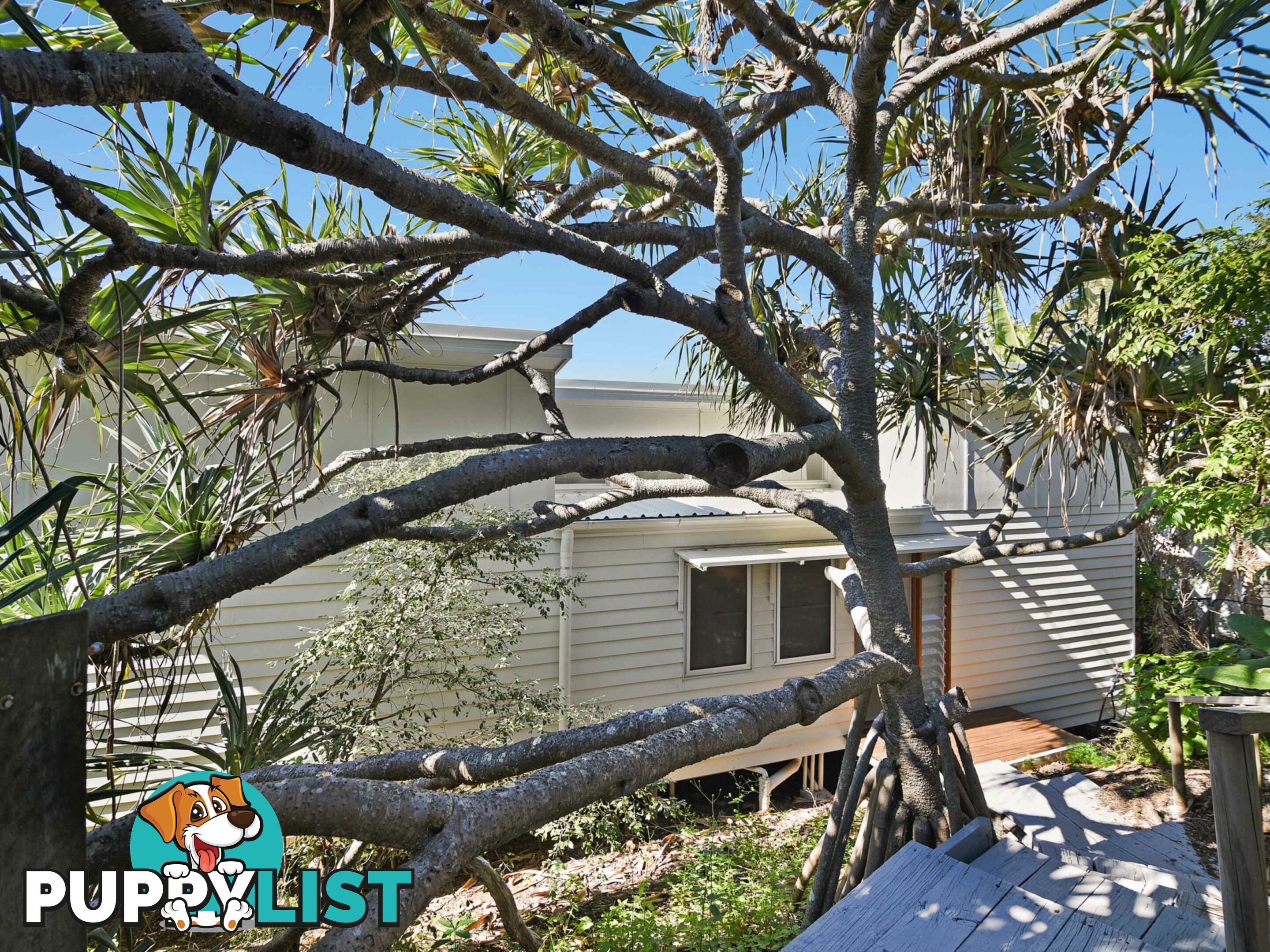 324 David Low Way PEREGIAN BEACH QLD 4573