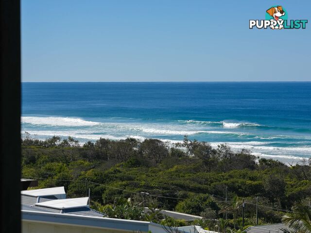 324 David Low Way PEREGIAN BEACH QLD 4573