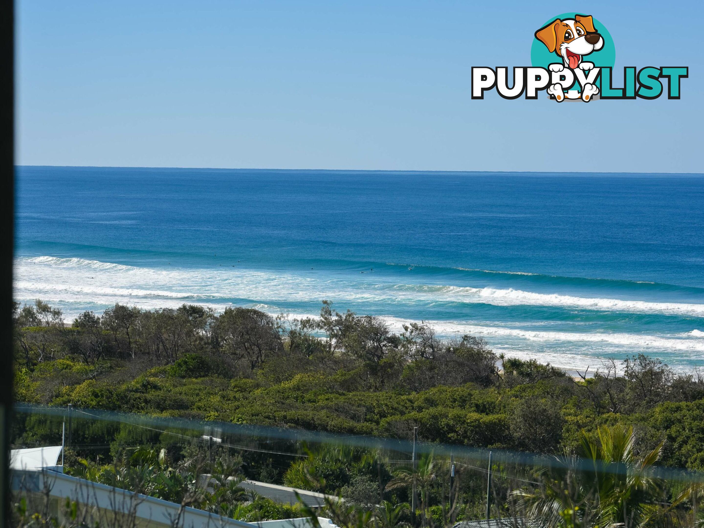 324 David Low Way PEREGIAN BEACH QLD 4573