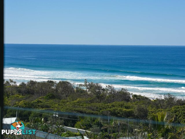 324 David Low Way PEREGIAN BEACH QLD 4573