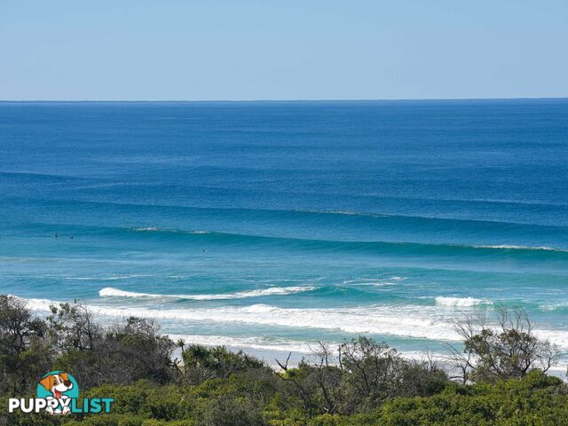 324 David Low Way PEREGIAN BEACH QLD 4573