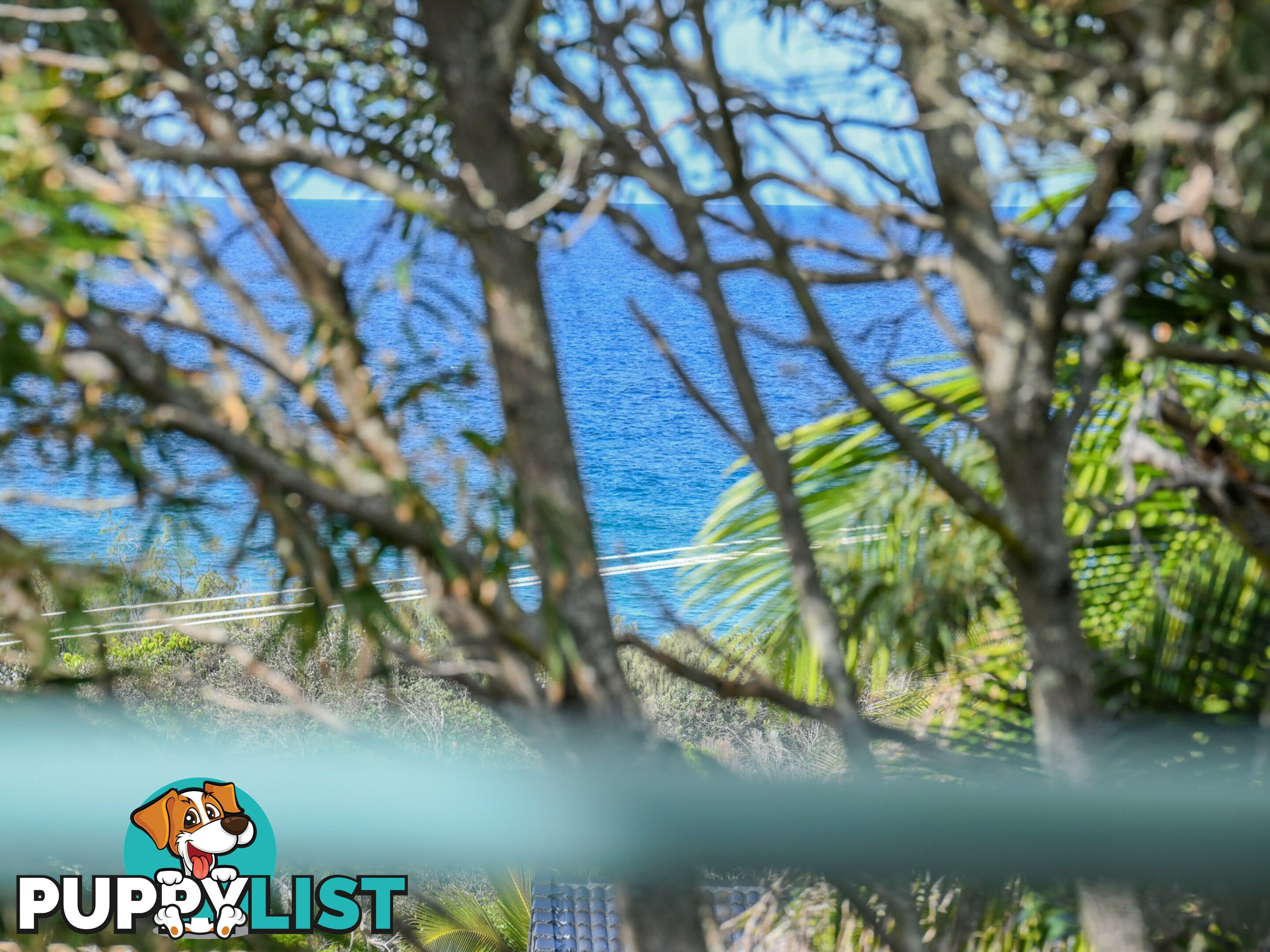 5 Callitris Crescent MARCUS BEACH QLD 4573