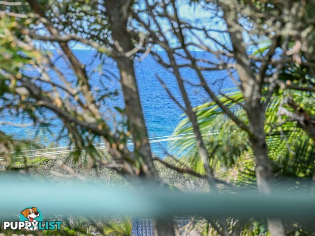 5 Callitris Crescent MARCUS BEACH QLD 4573