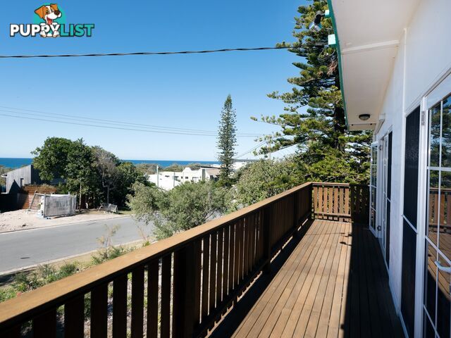 19 Piper Street PEREGIAN BEACH QLD 4573