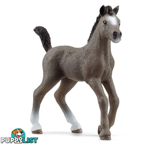 Schleich - Selle Francais Foal Horse Figurine - Mdsc13957 - 0114059433059379