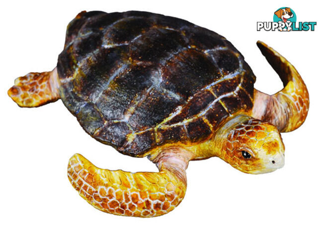 CollectA Loggerhead Turtle Animal Figurine - Rpco88094 - 4892900880945