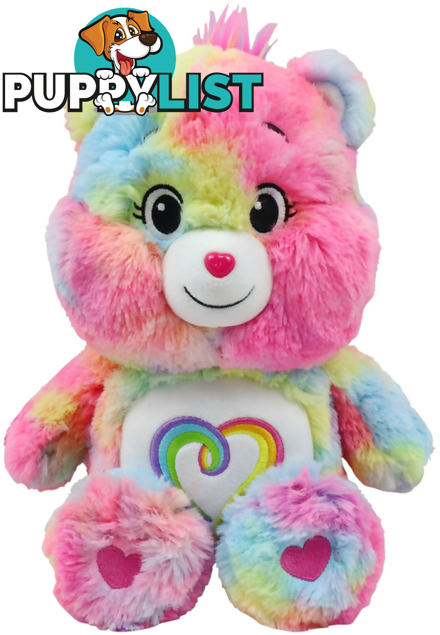 Care Bears - Togetherness Singing Plush Bear - Hs22371 - 840150223719