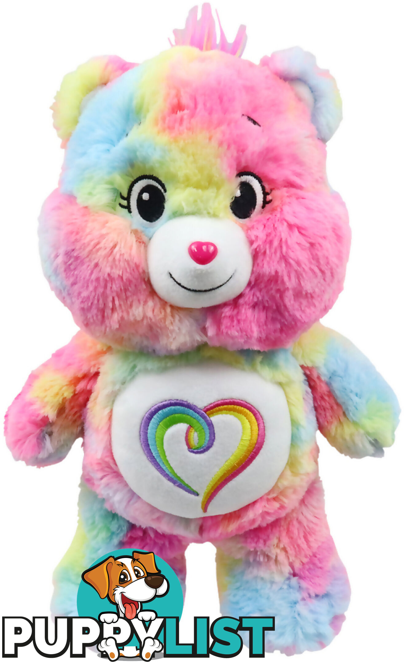 Care Bears - Togetherness Singing Plush Bear - Hs22371 - 840150223719