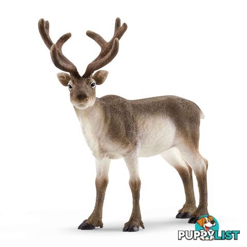 Schleich - Reindeer   Wildlife Animal Figurine Sc14837 - 4059433013961