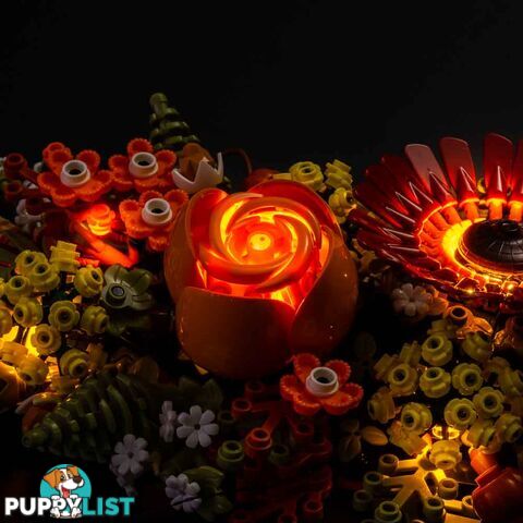 Light Kit For LEGO Dried Flower Centrepiece 10314 - Light My Bricks - Lb75452389387 - 754523893877