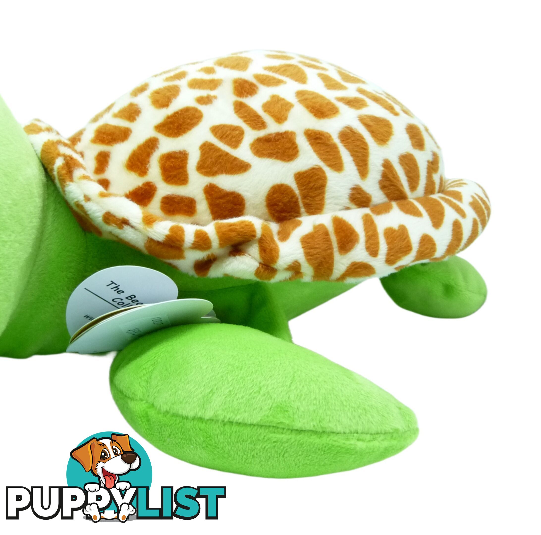 Ty Beanie Boos - Zippy The Turtle Green Large 41cm - Bg36809 - 008421368099