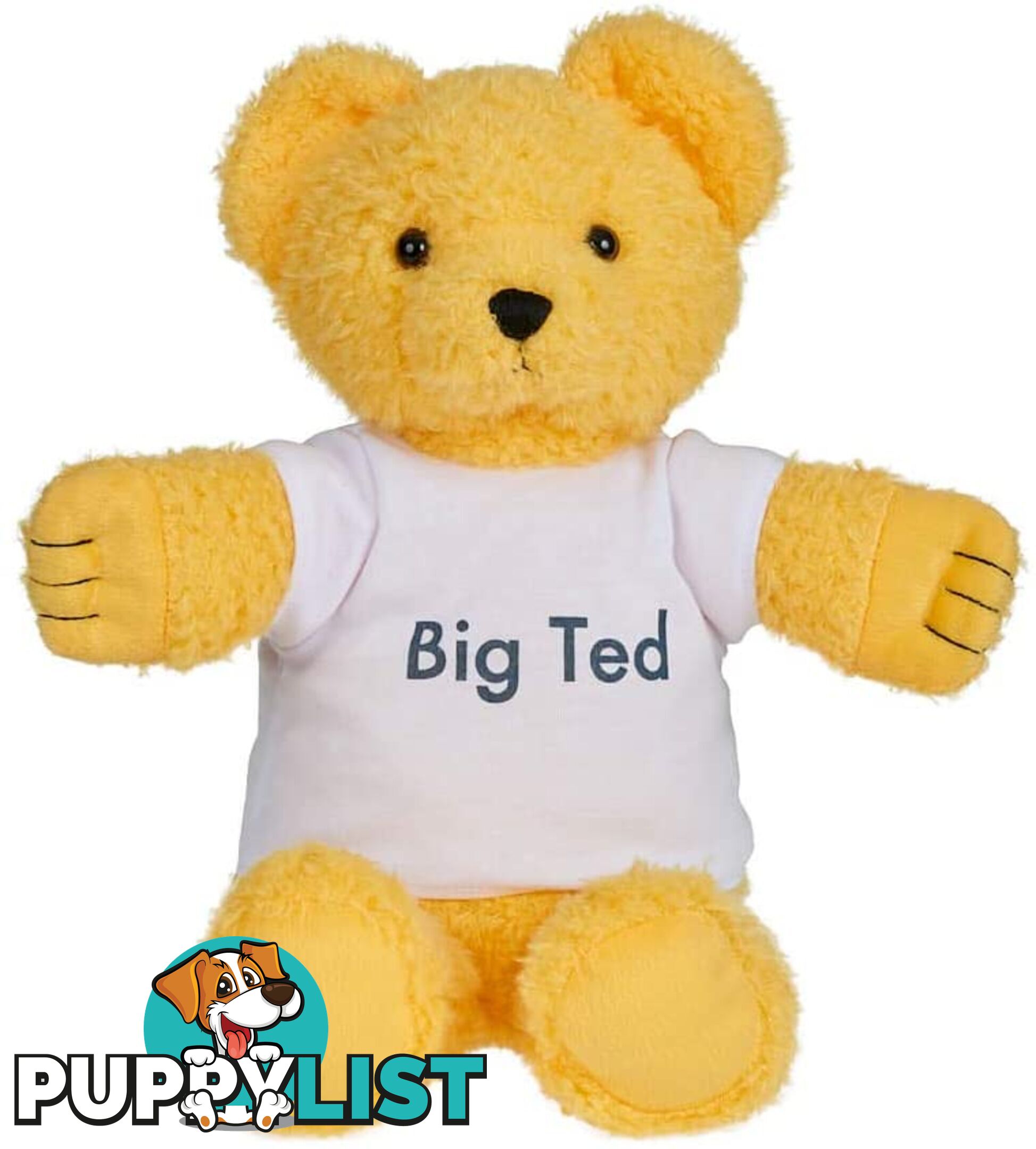 Play School Big Ted Plush Ap3002 - 9319057030023