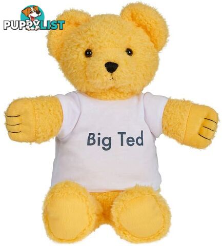 Play School Big Ted Plush Ap3002 - 9319057030023