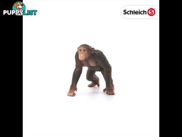 Schleich - Chimpanzee Male Sc14817 - 4055744020858