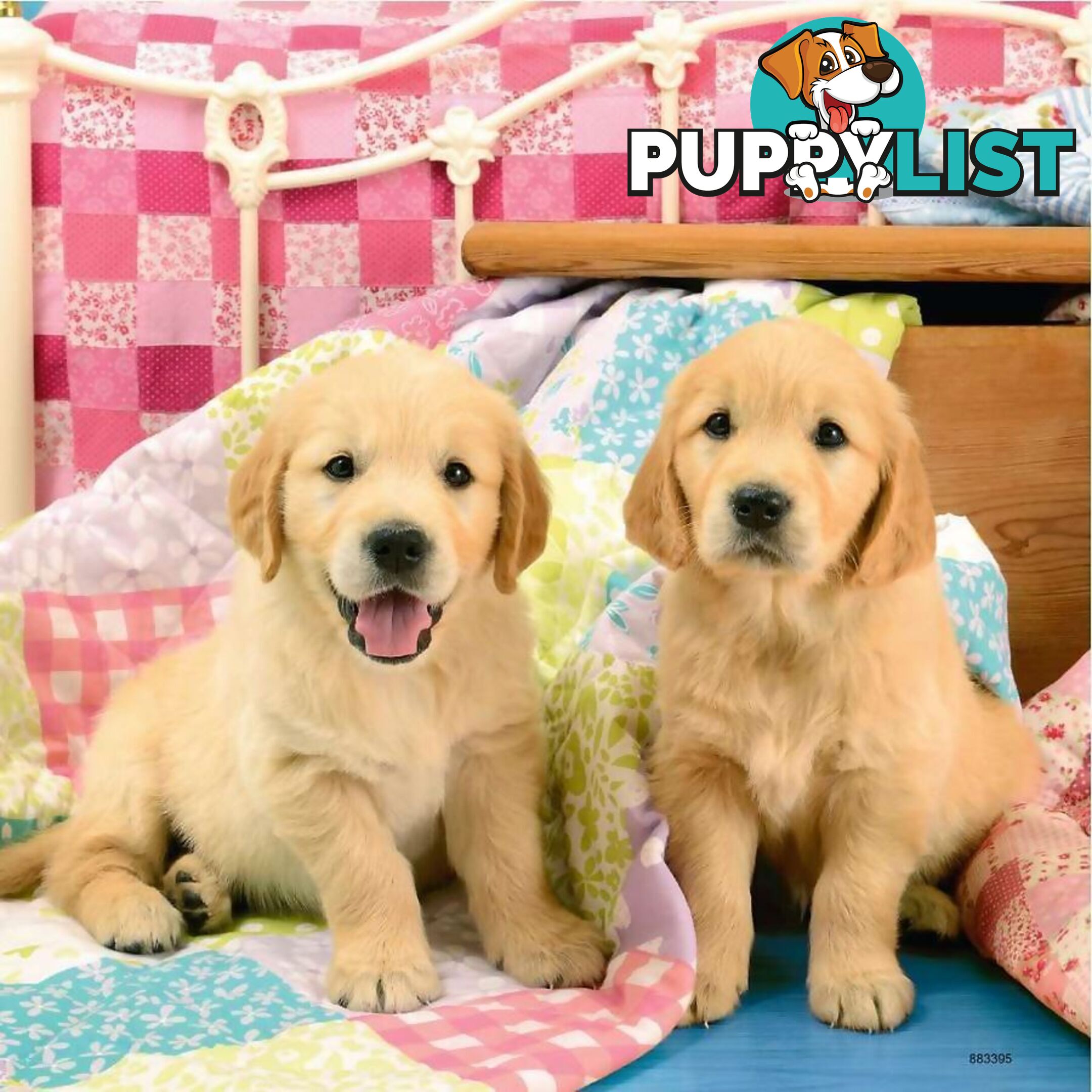 Ravensburger - Cute Puppy Dogs Jigsaw Puzzle 3 X 49pc - Mdrb08065 - 4005556080656