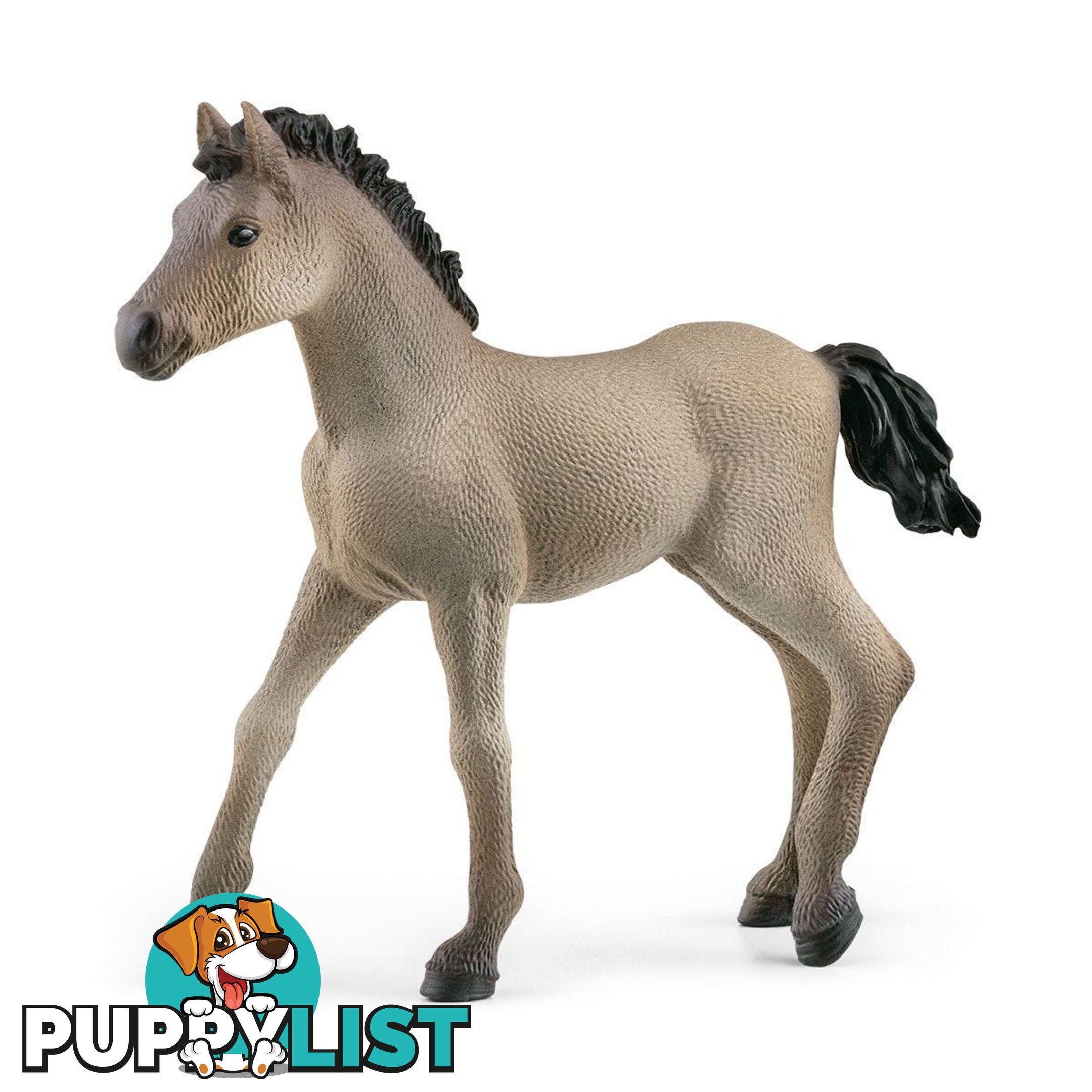 Schleich - Criollo Definitivo Foal Figurine - Mdsc13949 - 4059433486673