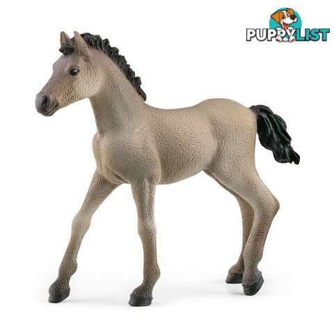 Schleich - Criollo Definitivo Foal Figurine - Mdsc13949 - 4059433486673