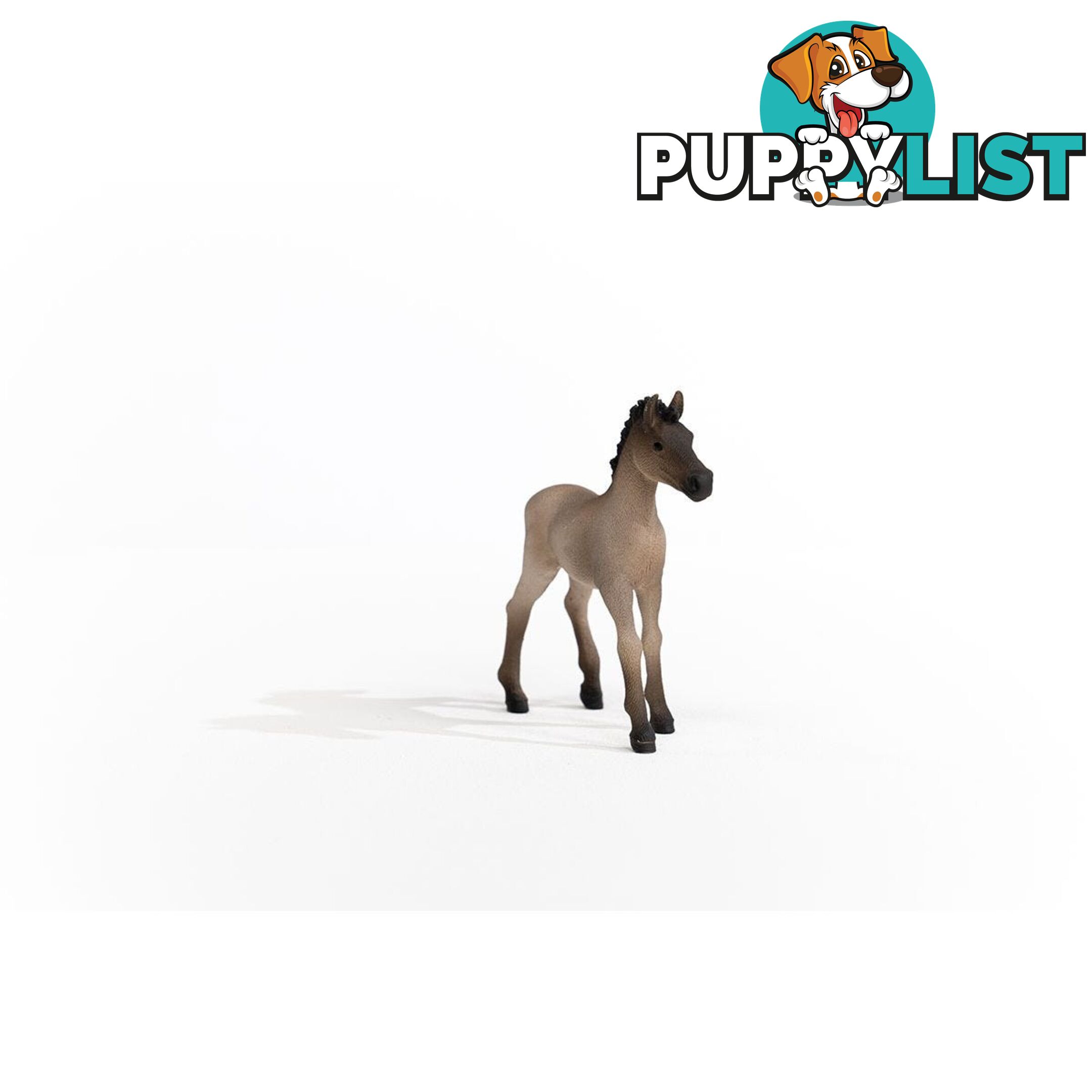 Schleich - Criollo Definitivo Foal Figurine - Mdsc13949 - 4059433486673