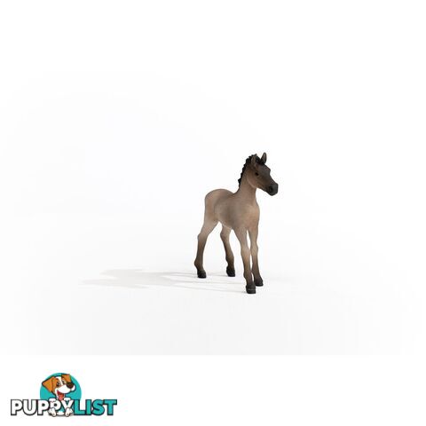 Schleich - Criollo Definitivo Foal Figurine - Mdsc13949 - 4059433486673