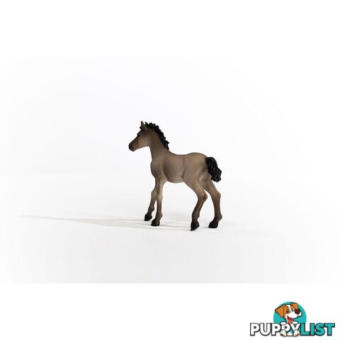 Schleich - Criollo Definitivo Foal Figurine - Mdsc13949 - 4059433486673