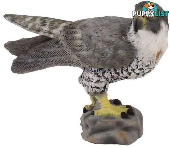 CollectA - Peregrine Falcon Bird Small Figurine - Rpco88399 - 4892900883991