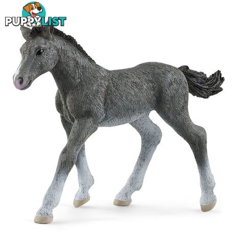 Schleich - Trakehner Foal Figurine - Mdsc13944 - 4059433461106