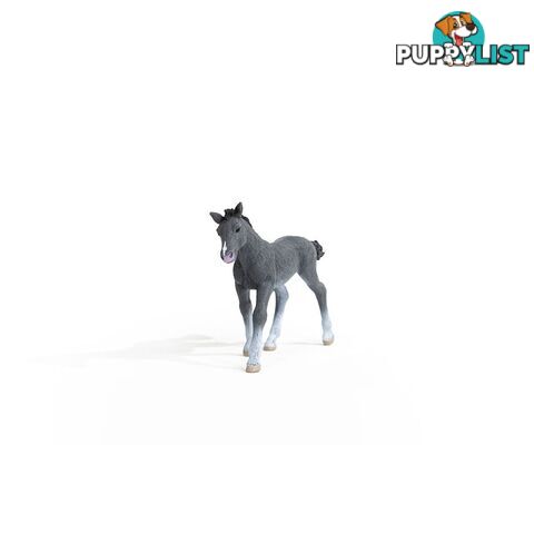 Schleich - Trakehner Foal Figurine - Mdsc13944 - 4059433461106