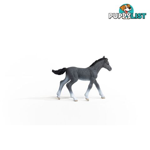 Schleich - Trakehner Foal Figurine - Mdsc13944 - 4059433461106