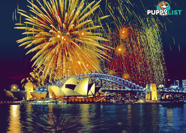 Ravensburger - Firework Over Sydney Jigsaw Puzzle 1000 Pieces - Mdrb16410 - 4005556164103