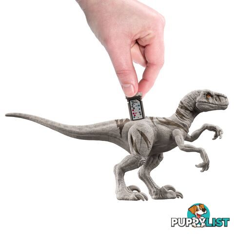 Jurassic World Dominion Release â€˜n Rampage Pack Soyona & Atrociraptor - Mahfg63 - 194735039876