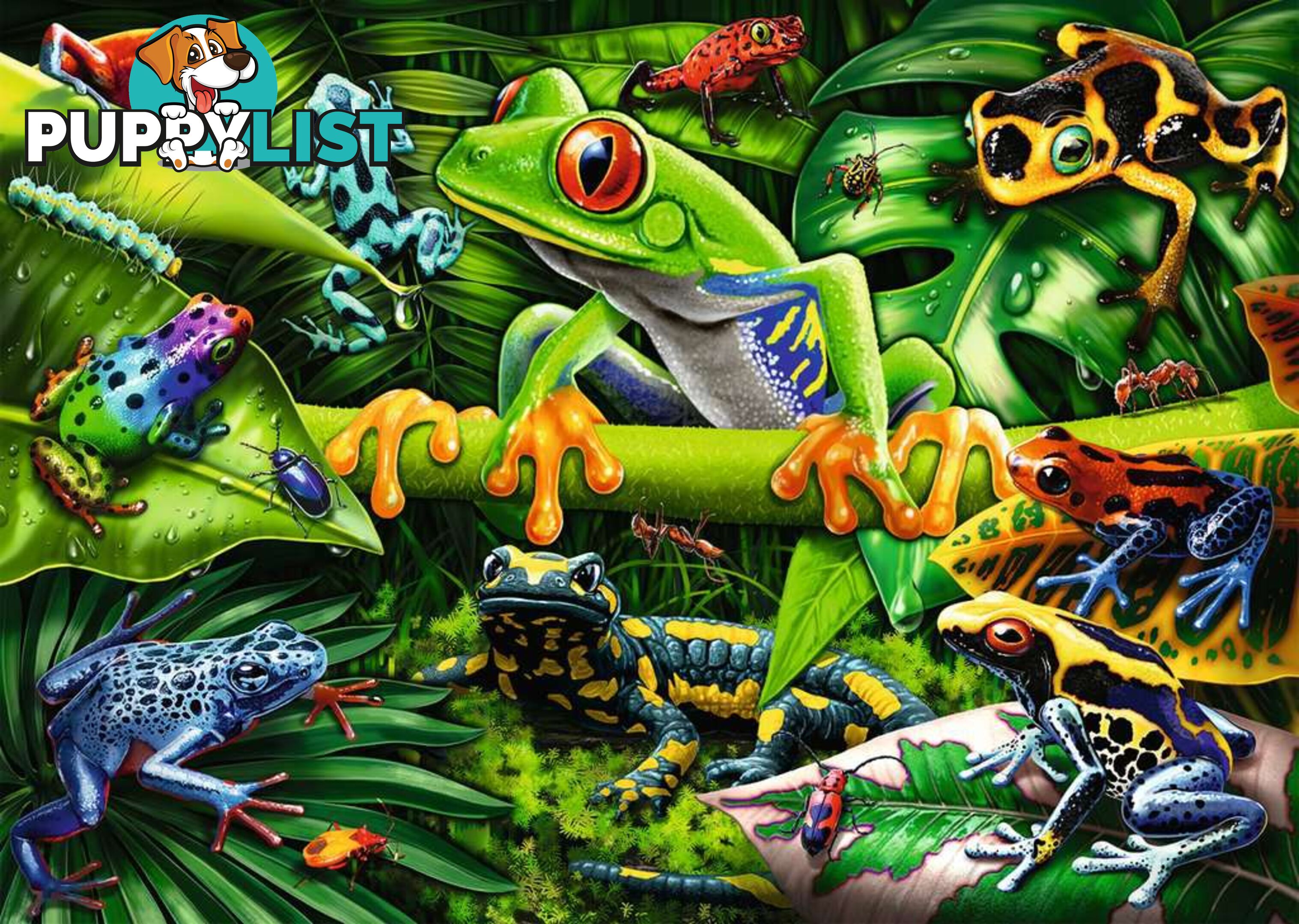 Ravensburger - Amazing Amphibians Jigsaw Puzzle 35pc Rb05174 - 4005556051748