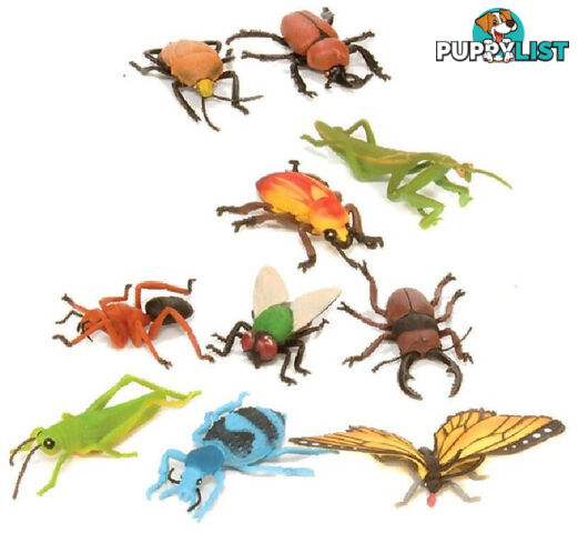 Wild Republic - Polybag Insect Collection - Wr64092 - 092389640922