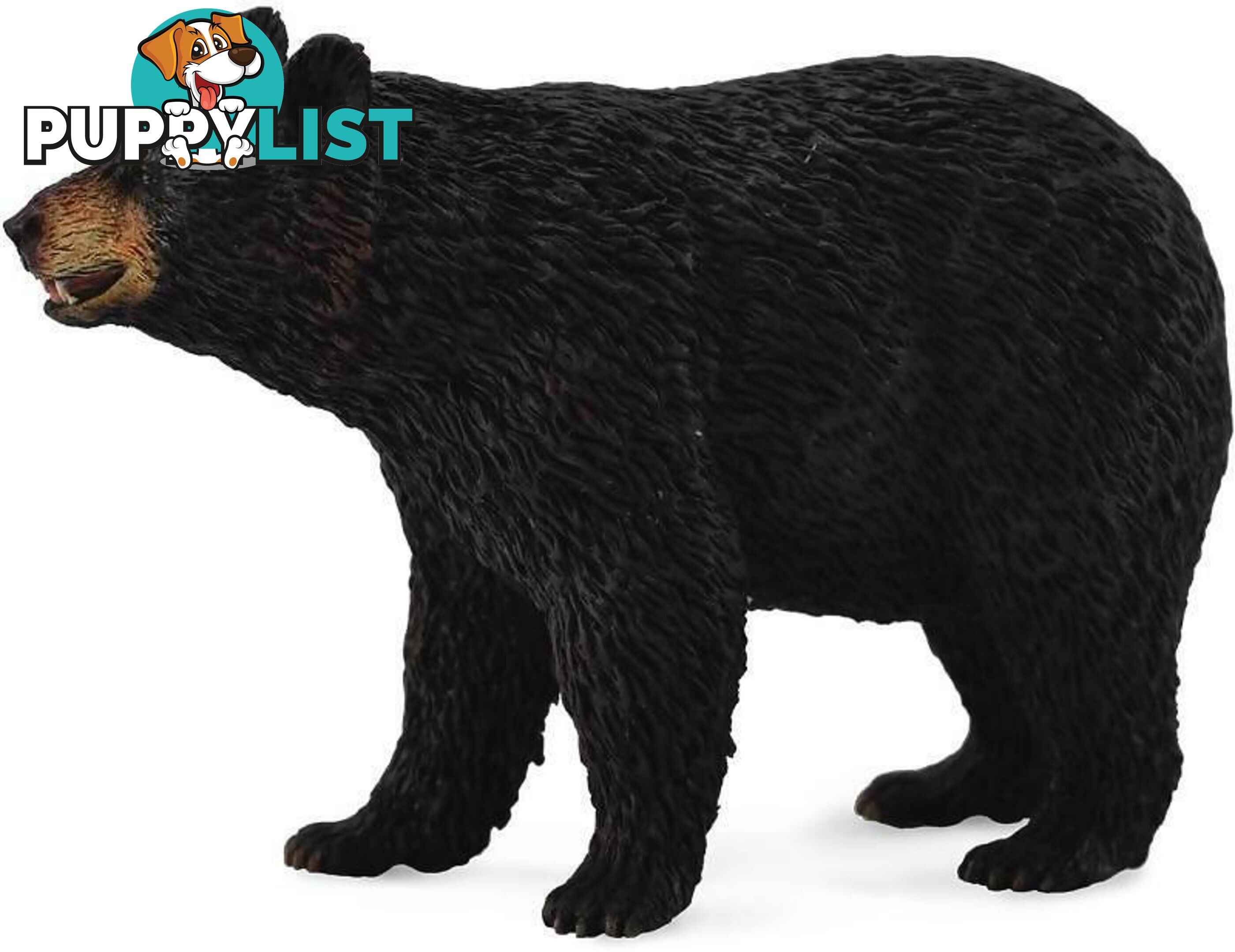 CollectA - American Black Bear Wild Animal Figurine - Rpco88698 - 4892900886985